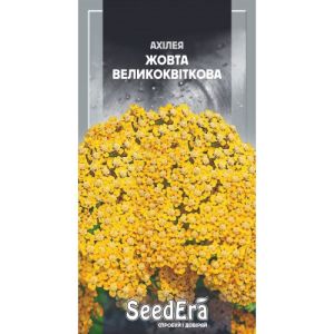 Насіння квітів Ахілея Жовта Великоквіткова