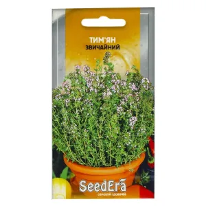 Насіння лікарської культури Тим'ян (Чебрець) звичайний