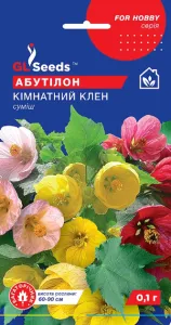 Насіння квітів Абутілон, кімнатний клен