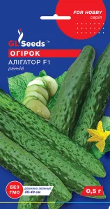 Насіння огірка Алігатор F1