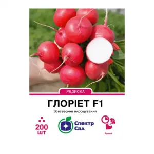 Насіння редиски Глоріет F1
