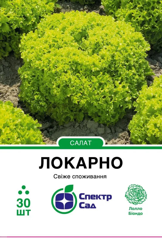 Семена салата.