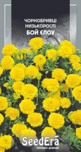 Насіння квітів Чорнобривці низькорослі Бой Єлоу