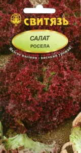 Насіння салату Росела