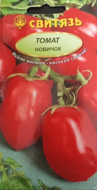 Насіння  томату  Новичок