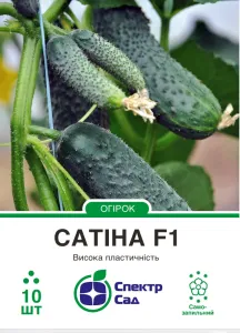 Насіння огірка Сатіна F1
