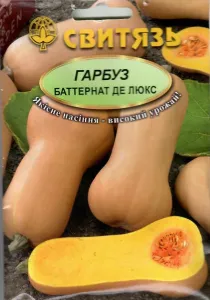 Насіння гарбуза Баттернат де люкс