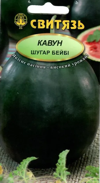 Насіння кавуна Шугар бейбі