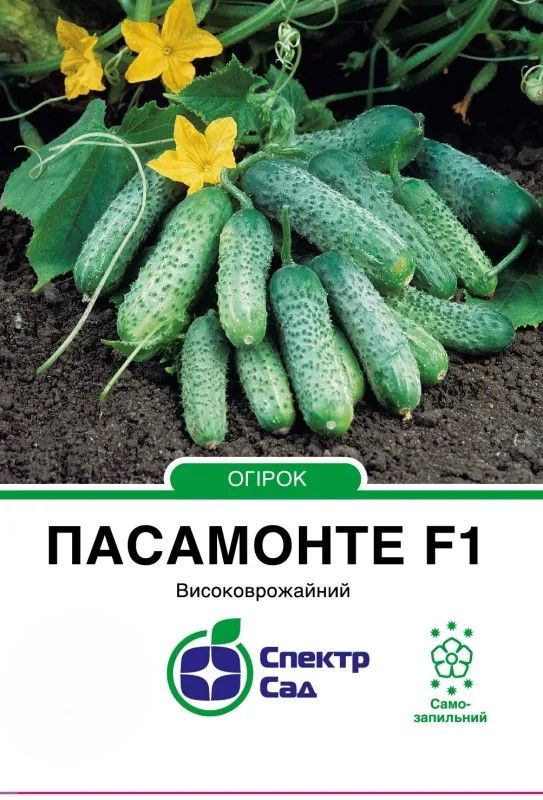 Насіння огірка Пасамонте  F1