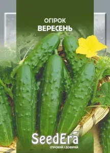 Насіння огірка Вересень SeedEra