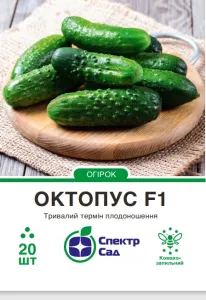 Насіння огірка Октопус F1