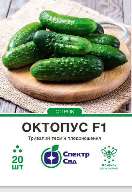 Насіння огірка Октопус F1