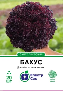 Насіння салату Бахус