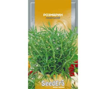 Насіння лікарської культури Розмарин