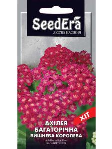 Насіння квітів Ахілея Вишнева королева