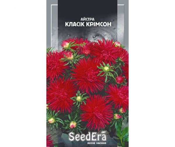 Насіння квітів Айстра Класік Крімсон