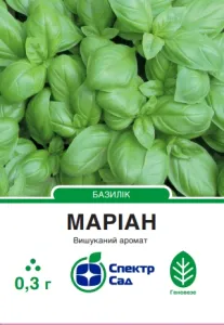 Насіння пряно-ароматичної культури Базилік Маріан