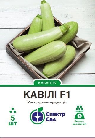 Насіння кабачка Кавілі F1