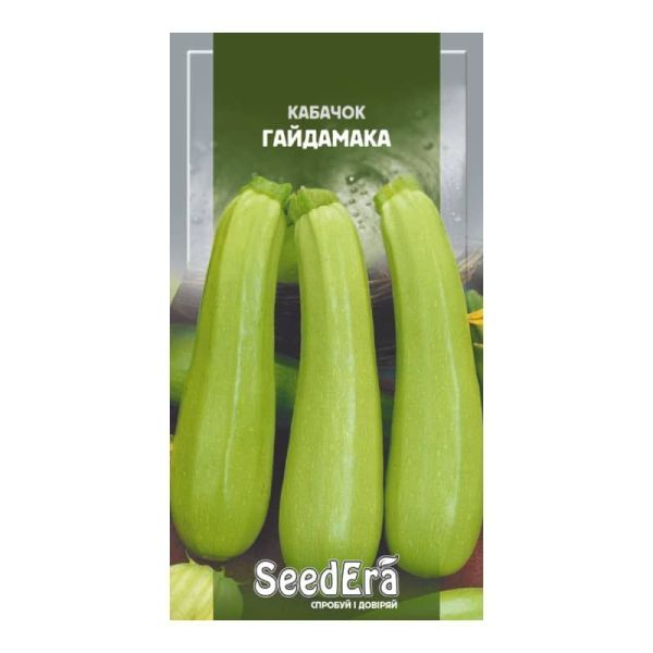 Насіння кущового кабачка Гайдамака