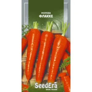 Насіння моркви Флакке
