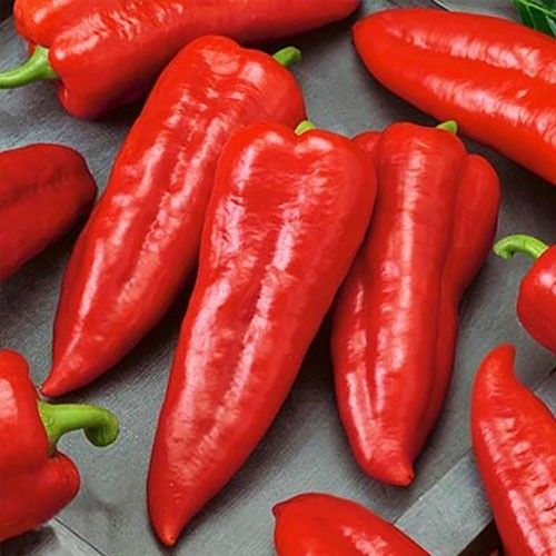 Насіння перцю солодкого Мерцедес