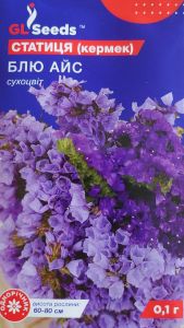 Насіння квітів Статиця (Кермек) Блю Айс