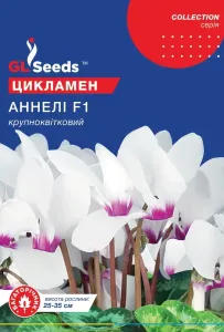 Насіння квітів Цикламен Аннелі F1