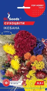 Насіння квітів Сухоцвіти Ікебана