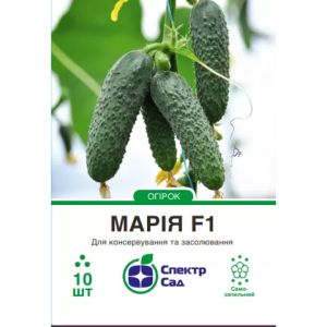 Насіння огірка Марія F1