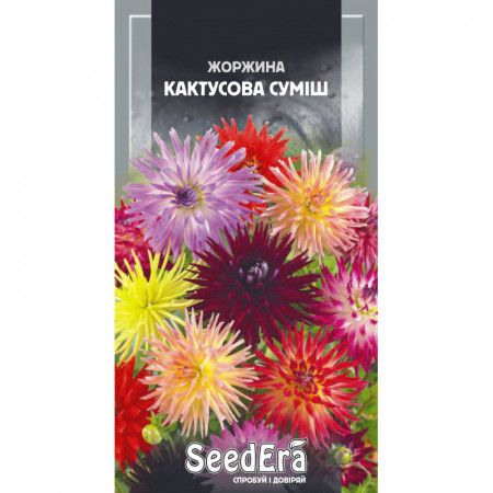 Насіння квітів Жоржина Кактусова суміш